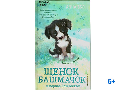 Подробнее о статье Анна Бус «Щенок Башмачок и первое Рождество»